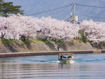 萩八景遊覧船